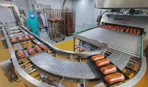 LFGB認(rèn)證指南 食品加工設(shè)備出口德國的必備測(cè)試與資料